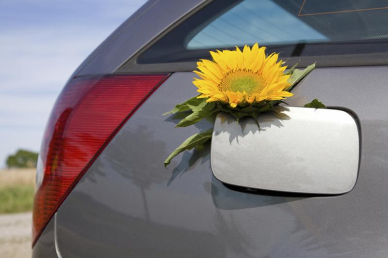 Voiture propre