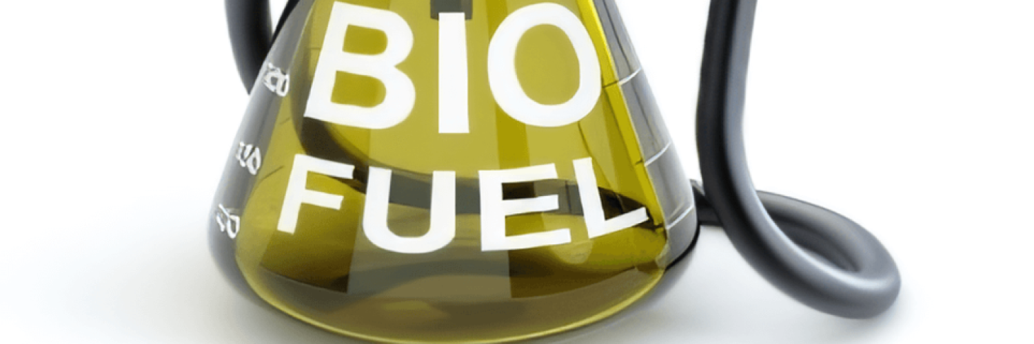 biocarburant 3eme generation