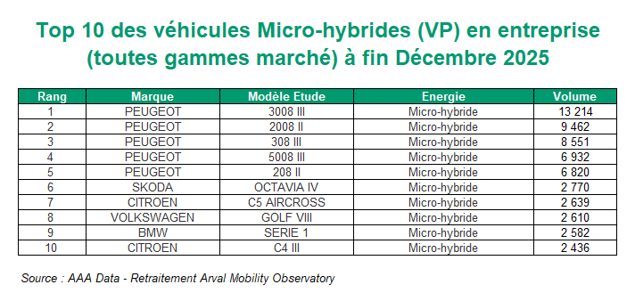 Top 10 VP Micro hybride en entreprise année 2025